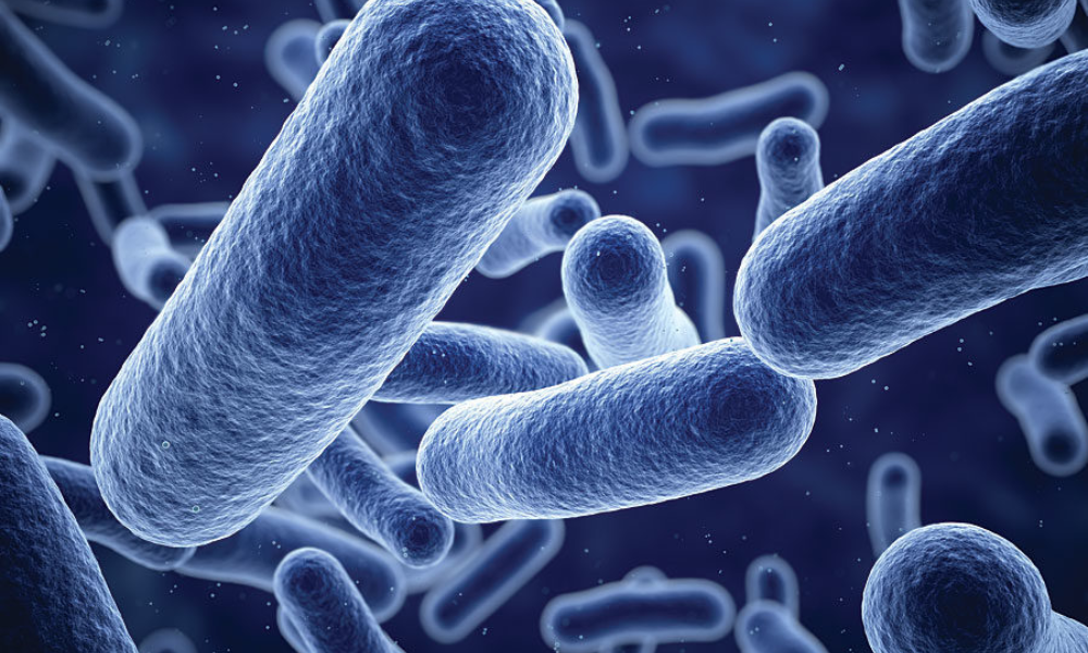 Top Manufacturers of Antimicrobial Coatings, 2022